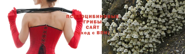 COCAINE Дмитровск