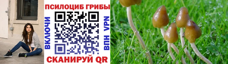 Псилоцибиновые грибы Magic Shrooms  Облучье 